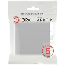 Переключатель ЭРА Arktik 16-1103-03 10АХ-250В алюминий Б0070336 1