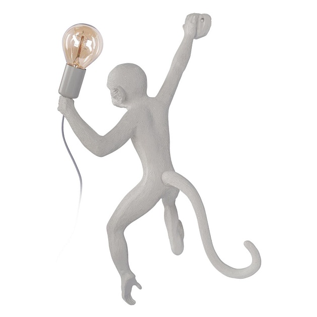 Настенный светильник Loft IT Monkey 10314W/B Фото № 6