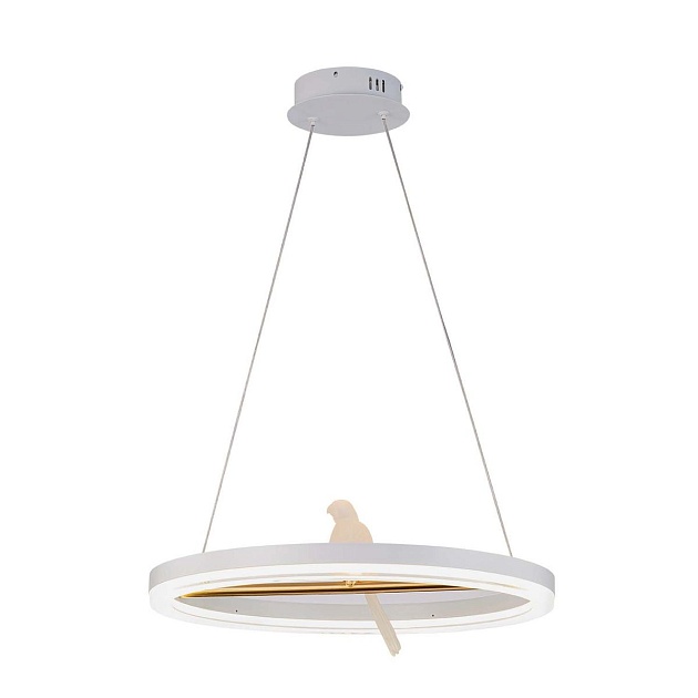 Подвесной светодиодный светильник F-Promo Bardy 4653-1P Фото № 4