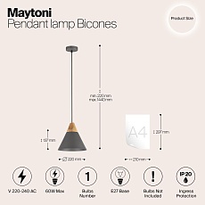 Подвесной светильник Maytoni Bicones P359-PL-220-C 1