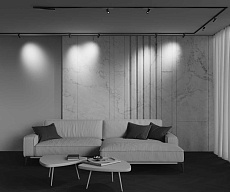 Трековый светильник Maytoni Technical EXILITY X Focus Led TR243-5W4K-B 2