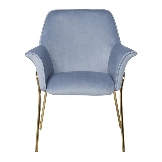 Кресло Garda Decor 30C-1127-Z LBL изображение 1 Кресло Garda Decor 30C-1127-Z LBL Фото № 1