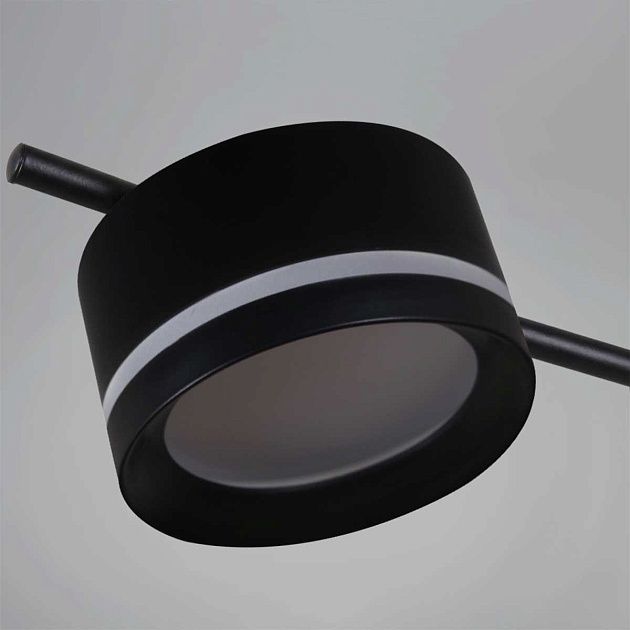 Потолочная люстра Reluce 10590-0.3-10 Black изображение 3 Потолочная люстра Reluce 10590-0.3-10 Black Фото № 3