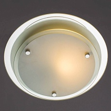 Потолочный светильник Arte Lamp A4867PL-1CC 3