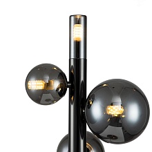 Настольная лампа Indigo Canto 11026/4T Black V000243 2