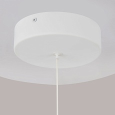 Подвесной светодиодный светильник Maytoni Technical Ray P021PL-L10W 2