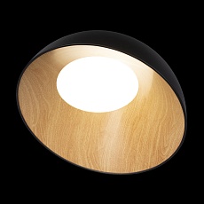 Потолочный светодиодный светильник Loft IT Egg 10197/500 Black 4