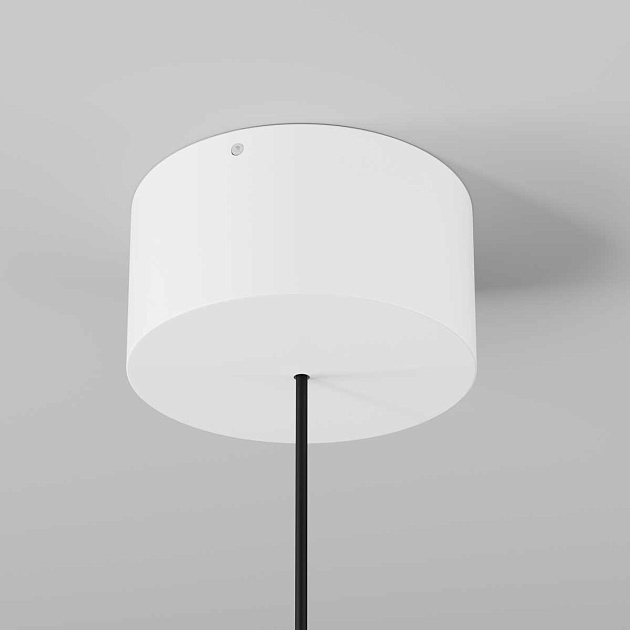 Подвесной светильник Maytoni Outdoor O491PL-L6W3K изображение 4 Подвесной светильник Maytoni Outdoor O491PL-L6W3K Фото № 4
