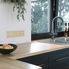 Рамка Werkel Platinum на 4 поста шампань W0042611 4690389184529 3