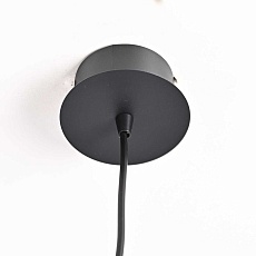 Подвесной светильник Imperium Loft Raffin 177910-26 3