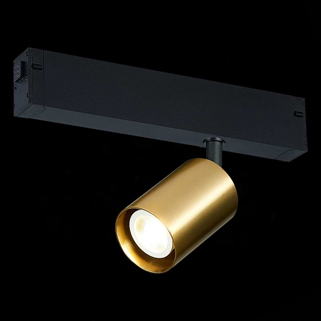 Трековый светильник ST Luce ST505.206.01 Фото № 1