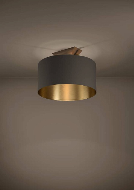 Потолочный светильник Eglo Santandria 390335 Фото № 2