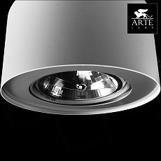 Потолочный светильник Arte Lamp Cliff A5643PL-1WH 1