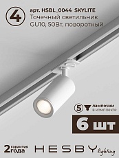 Накладная однофазная трековая система Hesby Lighting Skylite №3 со светильниками HSBL_kompl_S003_NI2W4K 1