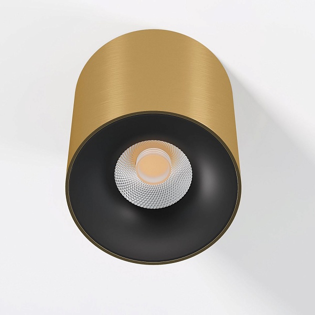 Потолочный светодиодный светильник Elektrostandard Primo 25116/LED a069413 Фото № 3