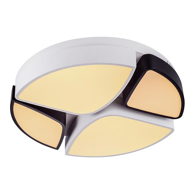 Потолочный светодиодный светильник Escada 10211/4LED Фото № 4