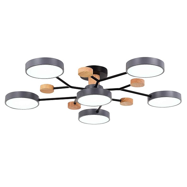 Потолочная светодиодная люстра Evoluce FAEMA SLE6006-702-06 изображение 3 Потолочная светодиодная люстра Evoluce FAEMA SLE6006-702-06 Фото № 3
