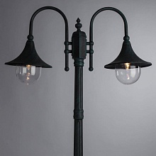Садово-парковый светильник Arte Lamp Malaga A1086PA-2BG 3