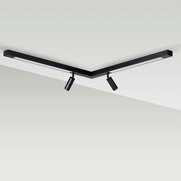 Потолочный светильник Lumion HAWK 5690/19CL изображение 1 Потолочный светильник Lumion HAWK 5690/19CL Фото № 1