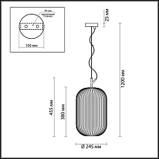 Подвесной светильник Odeon Light Pendant Roofi 4752/1 5