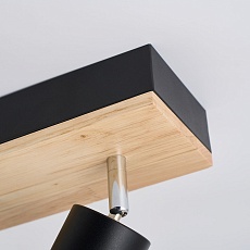 Потолочный светильник F-Promo Olika 4437-2C 1