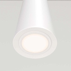 Подвесной светильник Maytoni Nevill P318-PL-01-W 4