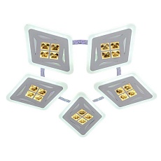 Потолочная люстра ЭкономСвет 50548/5WT RGB