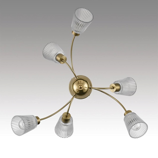 Светильник потолочный Lumion IMANA 8154/6C Фото № 2