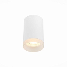 Потолочный светильник ST Luce ST100.502.01