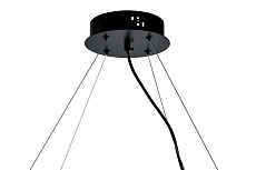 Подвесная люстра Zortes RONY ZRS.1209.08 4