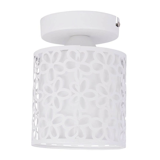 Потолочный светильник Arte Lamp Traforato A8349PL-1WH Фото № 1