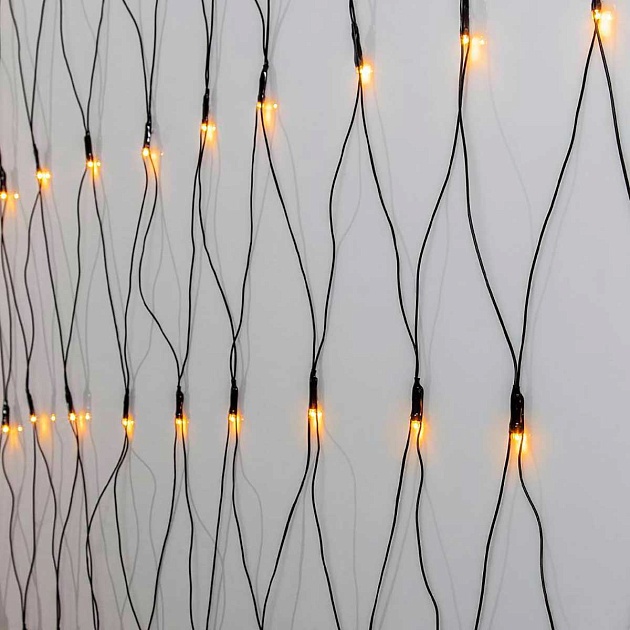 Светодиодная гирлянда Eglo GOLDEN WARM WHITE 411524 Фото № 1