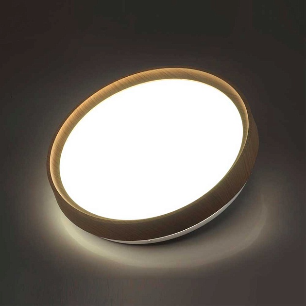 Настенно-потолочный светодиодный светильник Sonex Woodi 7603/EL фото 7