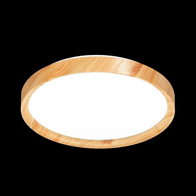 Настенно-потолочный светильник Sonex Tan Woodi 3019/DL фото 4