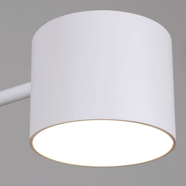 Потолочная люстра Reluce 47206-0.3-08WT изображение 2 Потолочная люстра Reluce 47206-0.3-08WT Фото № 2