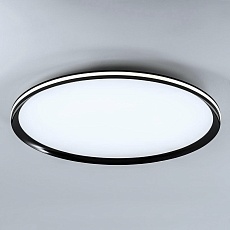 Потолочный cветильник LED4U L3020-600 BK 1