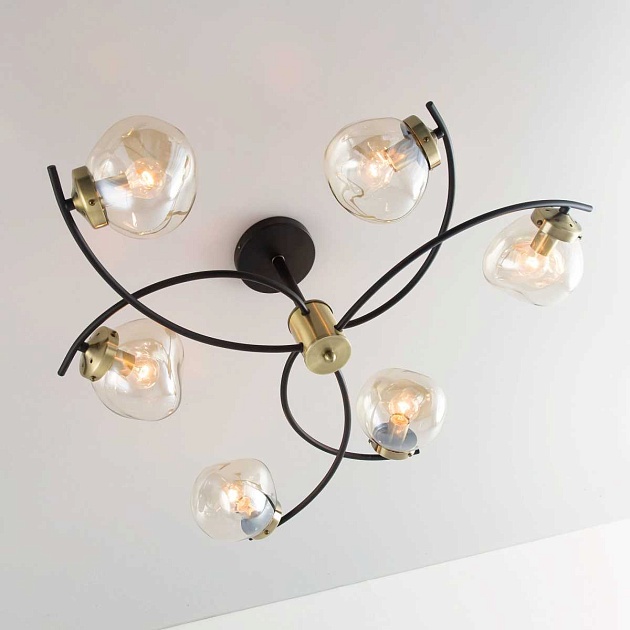 Потолочная люстра Citilux Фабула CL110165 изображение 32 Потолочная люстра Citilux Фабула CL110165 Фото № 32