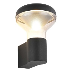 Уличный настенный светодиодный светильник ST Luce Drop SL9541.701.01 1