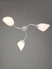 Потолочная люстра Vitaluce V3188/3PL 1