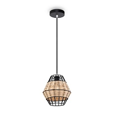 Подвесной светильник Freya Форма / Shape FR5335PL-01B1