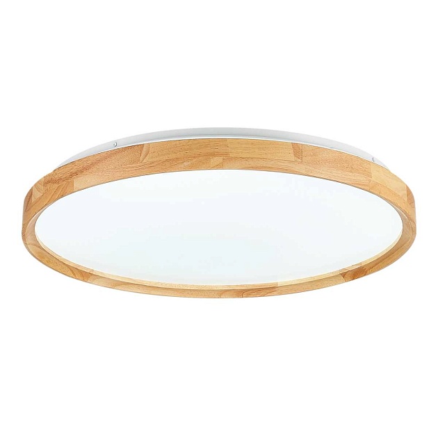 Потолочный сетодиодный светильник Evoluce Delia SLE201382-01 изображение 2 Потолочный сетодиодный светильник Evoluce Delia SLE201382-01 Фото № 2