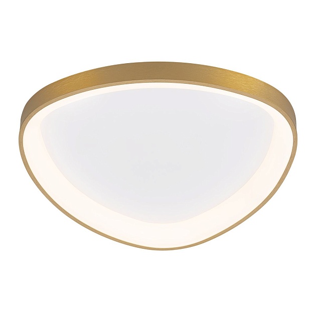 Потолочный светодиодный светильник Citilux Genka Smart CL756A142 изображение 9 Потолочный светодиодный светильник Citilux Genka Smart CL756A142 Фото № 9