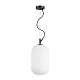 Подвесной светильник Odeon Light Pendant Roofi 4751/1 ⚡ — купить с ...