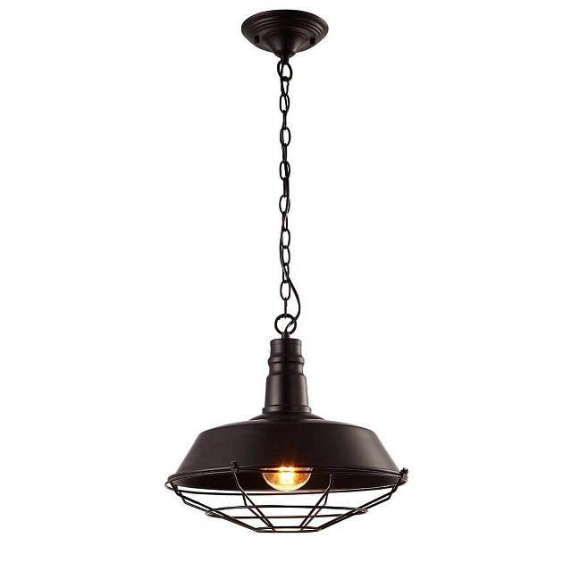 Подвесной светильник Arte Lamp Ferrico A9183SP-1BK Фото № 1