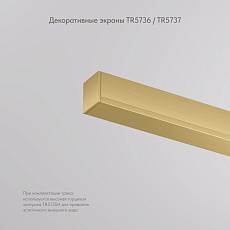 Заглушка Denkirs Shine Base TR5736-SB 5