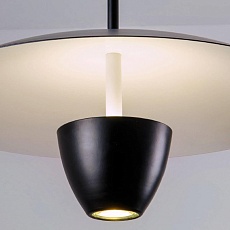 Светильник подвесной Lightera Pichola LE128L-40B 4