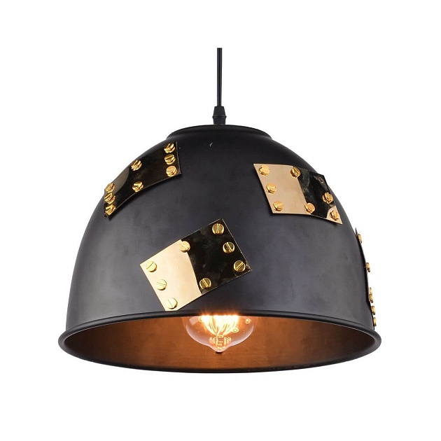 Подвесной светильник Arte Lamp Eurica A6023SP-1BK Фото № 2