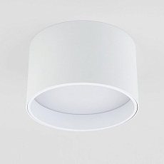 Потолочный светодиодный светильник Elektrostandard 25123/Led Banti 13Вт 4200K a058846 2