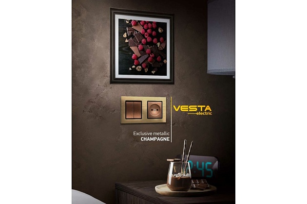 Рамка 5-постовая Vesta-Electric Exclusive Silver Champagne шампань FRM050501BSH фото 3