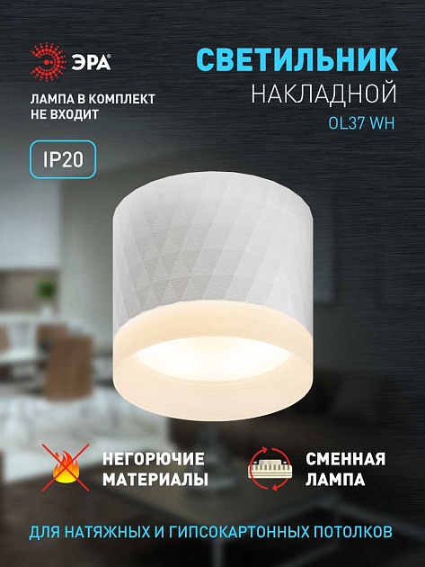 Настенно-потолочный светильник ЭРА OL37 WH Б0056385 изображение 18 Настенно-потолочный светильник ЭРА OL37 WH Б0056385 Фото № 18
